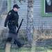 A Wastenaw County Sheriff officer carries a weapon out of 7011 Vreeland in Superior Township on Wednesday morning. Melanie Maxwell I AnnArbor.com